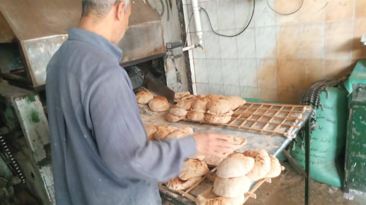 جانب من الحملات،فيتو