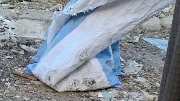 العثور على برطمانات أجنة داخل جوال في المنيا، فيتو