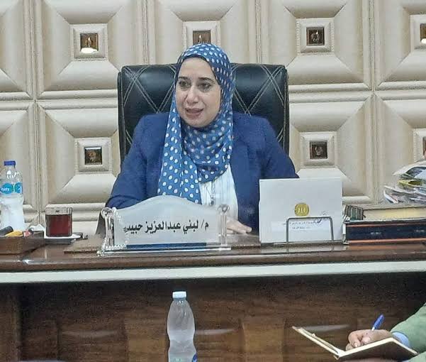 نائبة محافظ الشرقية،فيتو