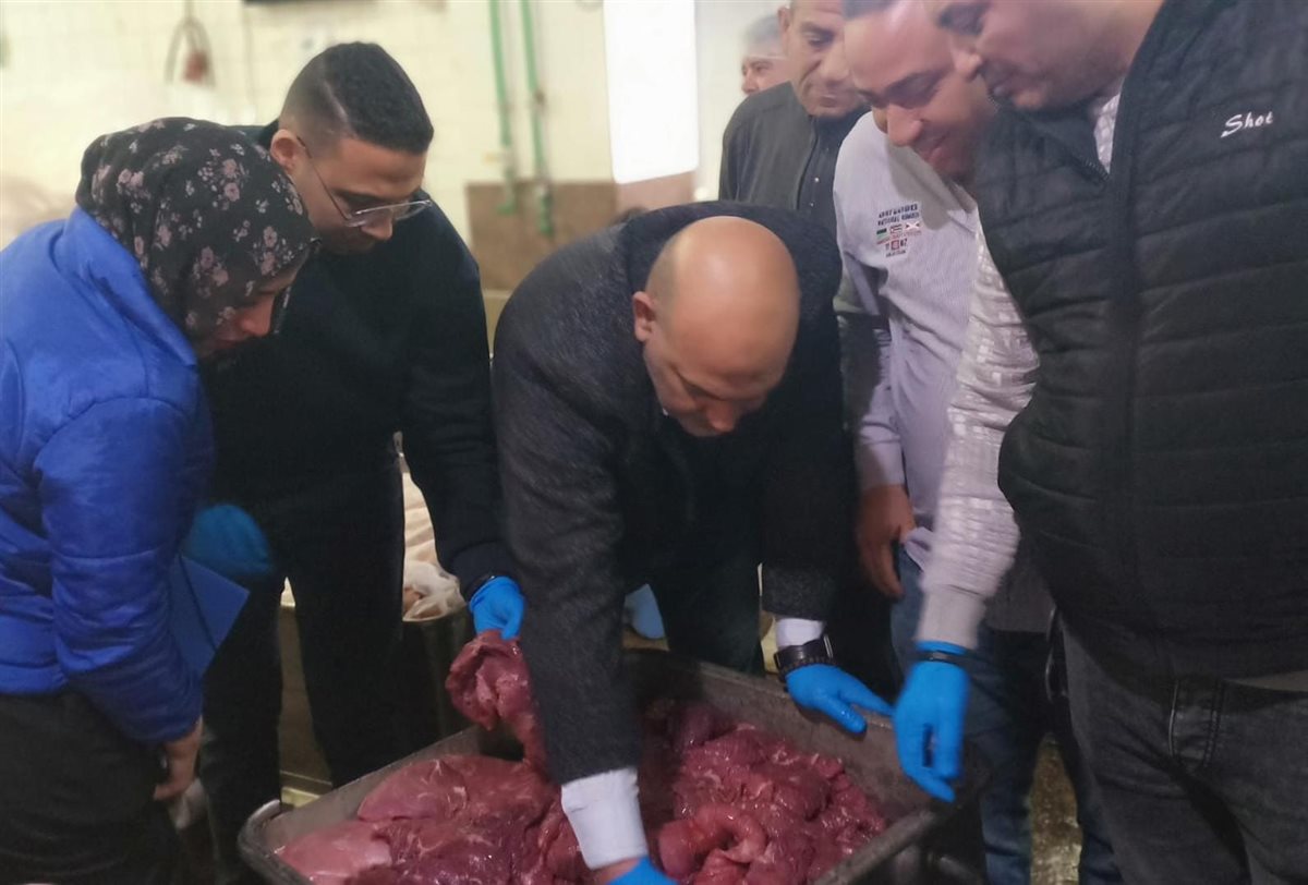 ضبط لحوم غير صالحة بالقليويية، فيتو