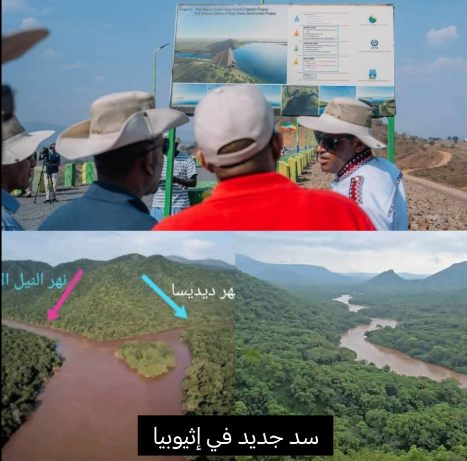 سد إثيوبيا الجديد أرجو ديديسا، فيتو