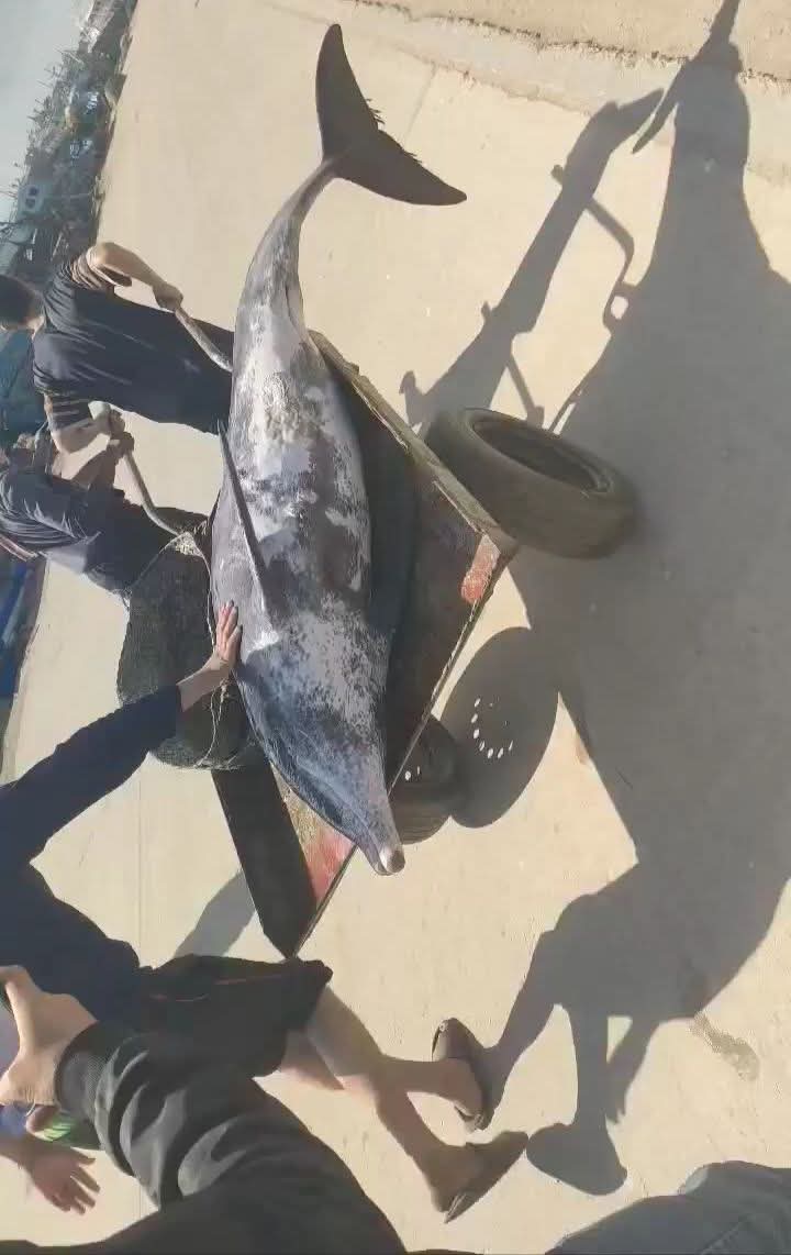 أول صور لعثور صيادو
