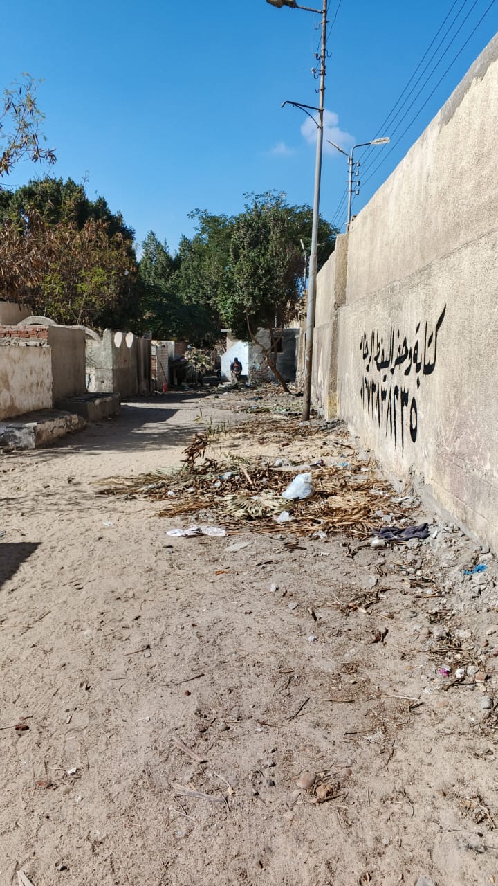 جانب من حملة نظافة المقابر، فيتو
