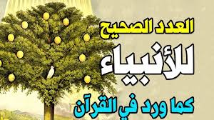 كم عدد الأنبياء العرب.. تعرف عليهم بالتفصيل