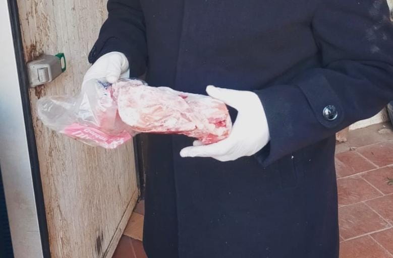 حملة بمديرية الطب البيطري بالقليويية، فيتو