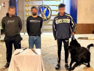 مشاجرة بالأسلحة البيضاء وسيدة بصحبتها كلب في المنوفية.. والأمن يكشف التفاصيل &nbsp;الفيديو