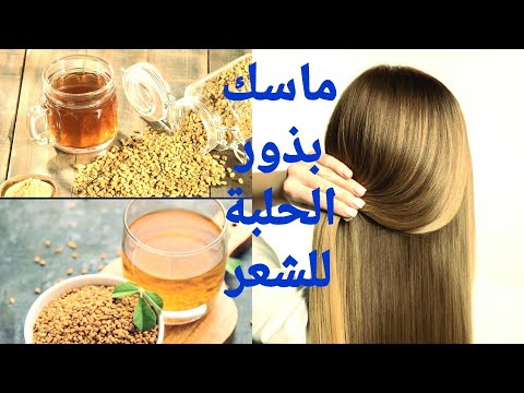 الحلبة للشعر