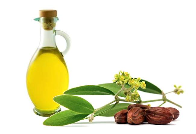 زيت الجوجوبا