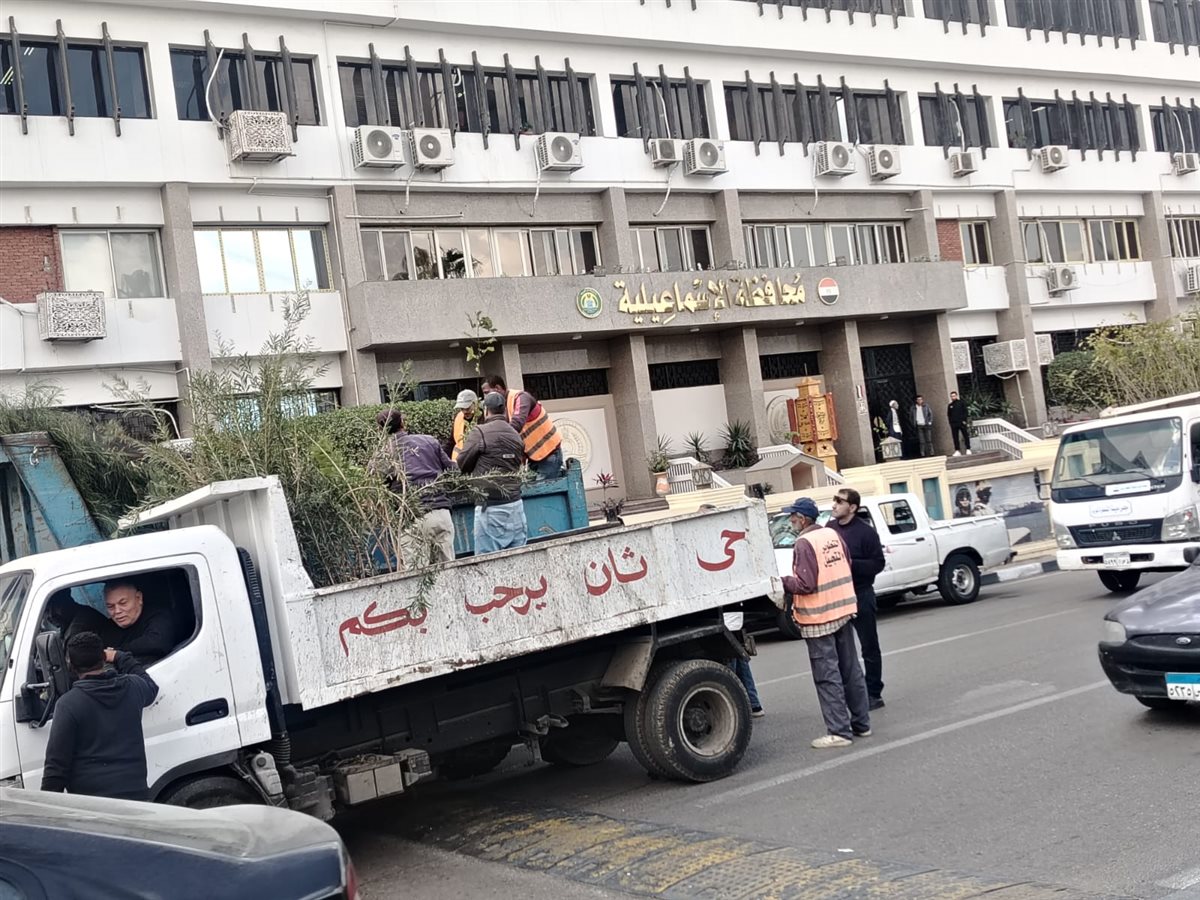 توزيع 6000 شجرة زينة بمحافظة الإسماعيلية،فيتو