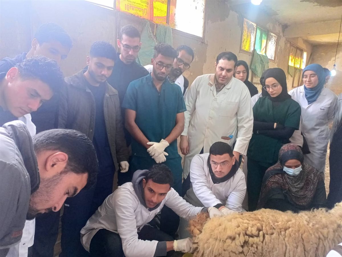 جانب من فاعليات الدورة،فيتو