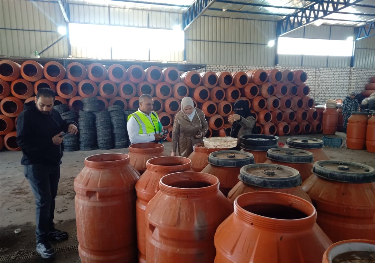 ضبط 283 طن زيتون غير صالح للاستهلاك الآدمي بالإسماعيلية&nbsp;