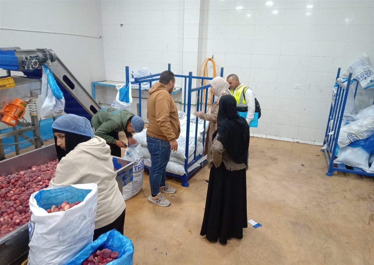 ضبط 283 طن زيتون غير صالح للاستهلاك الآدمي بالإسماعيلية&nbsp;