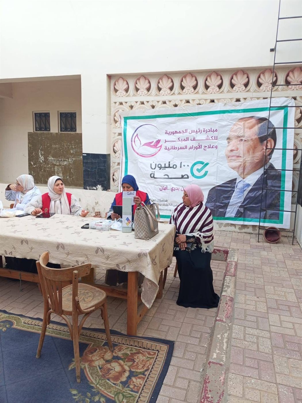 مبادرة قطار الخير 2 بالبحيرة، &nbsp;فيتو