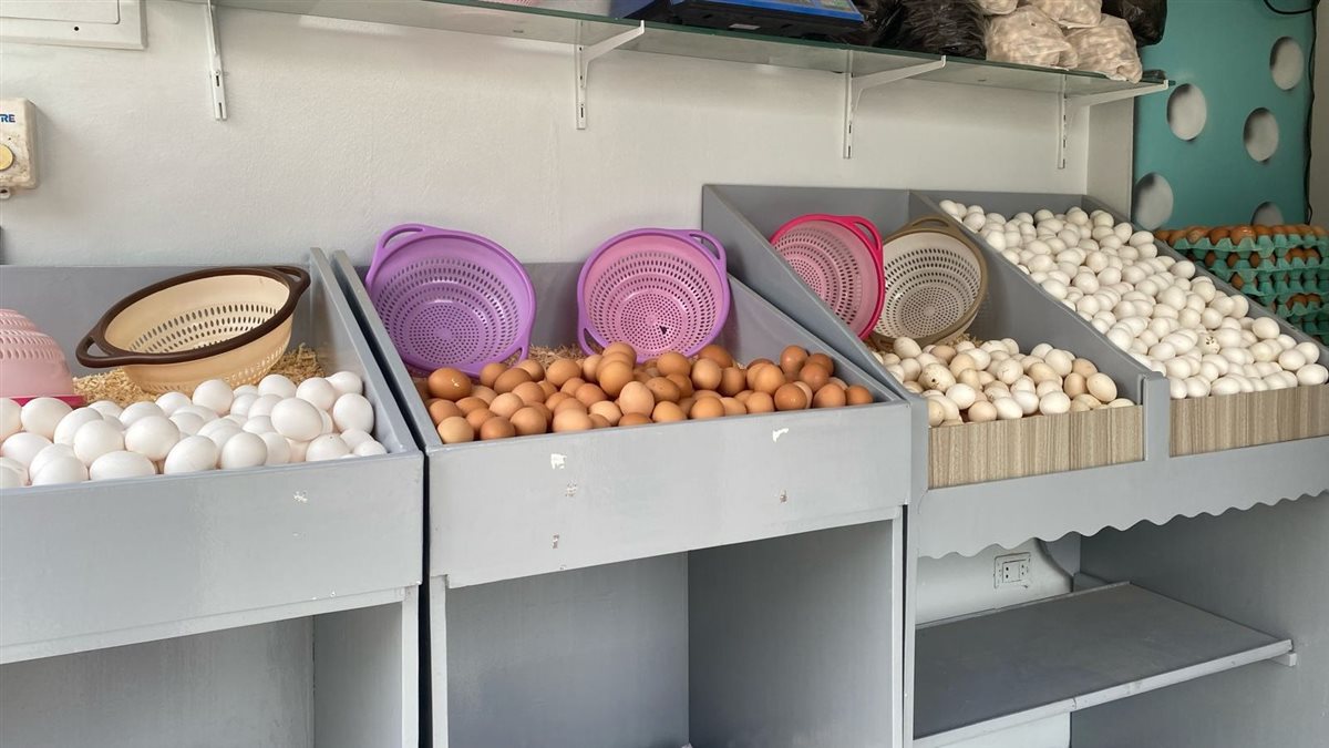 <strong alt=