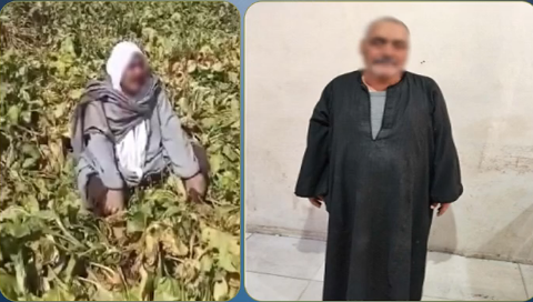 كفر الشيخ: ضبط مزارع ادعى تلف محصوله بمبيد حشري بسبب خلافات عائلية