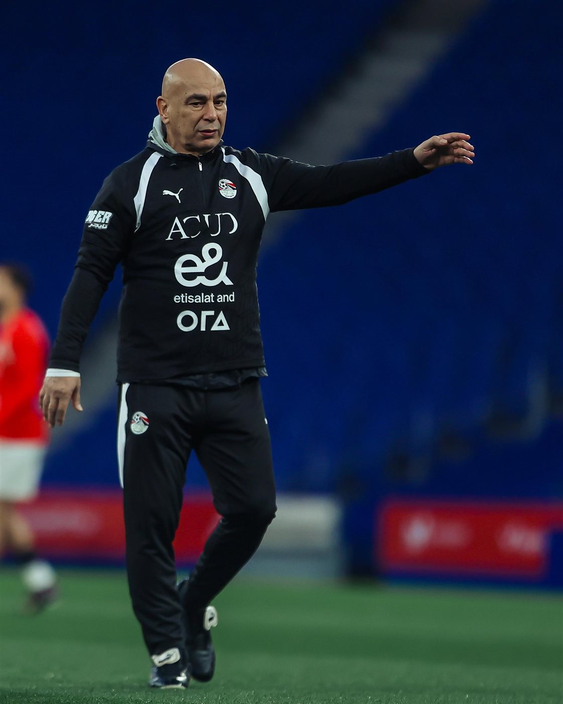 حسام حسن، فيتو