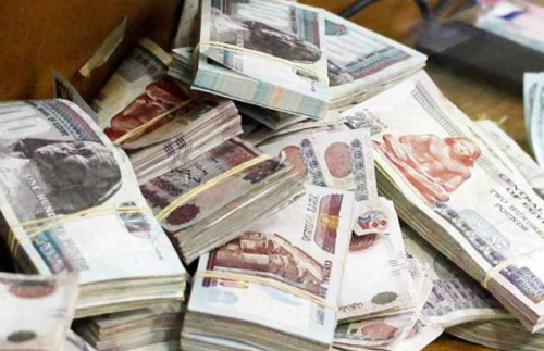 حوت الأسمدة وقروض البنوك تجاوزت 40 مليار جنيه، فيتو