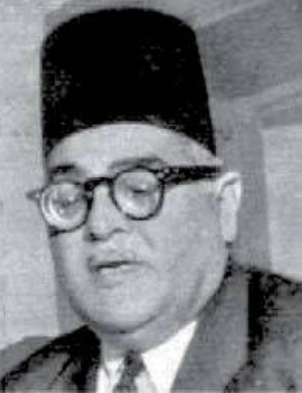 الكاتب الصحفى فكرى اباظة&nbsp;