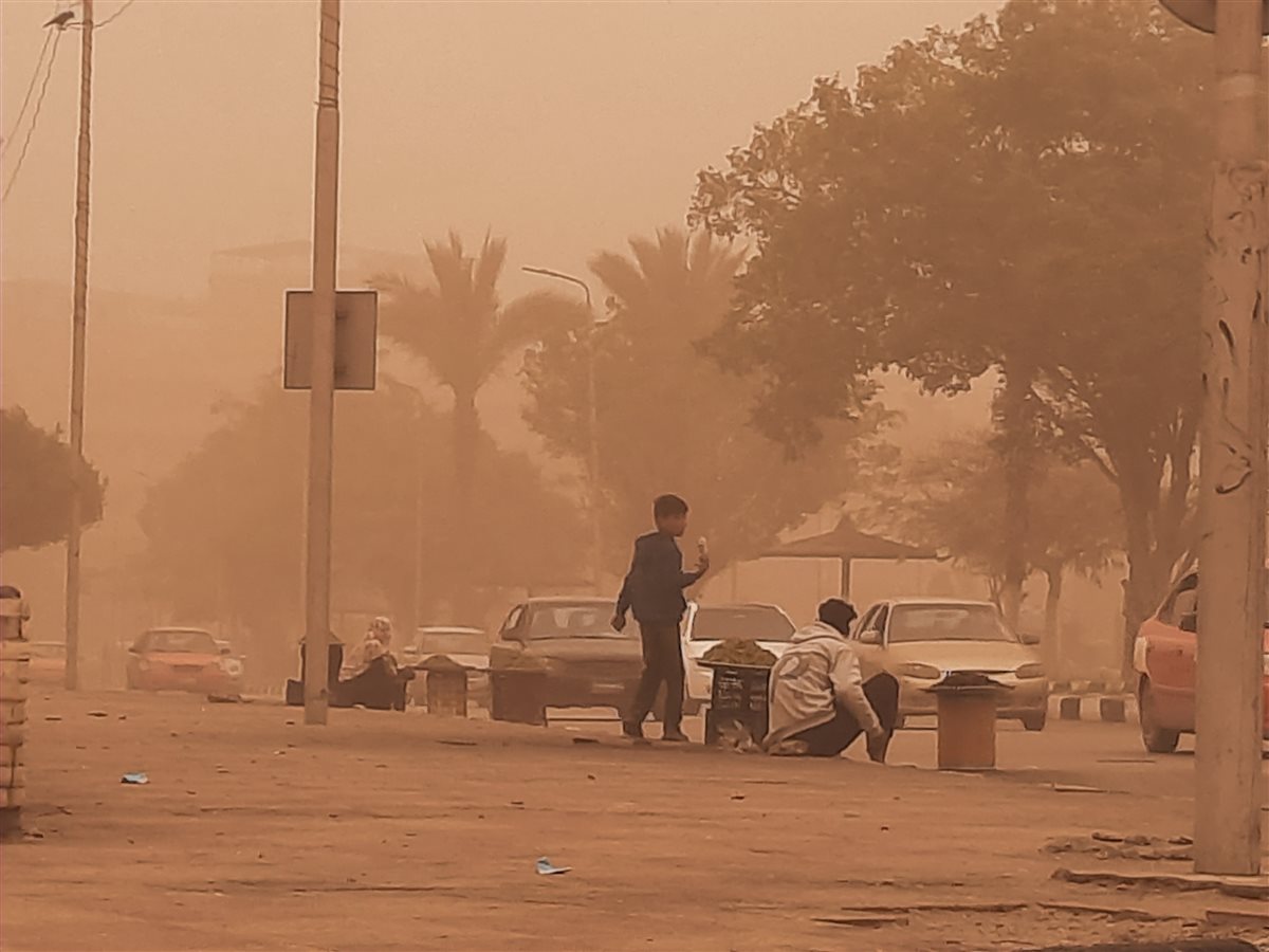 بائعة التوت، فيتو
