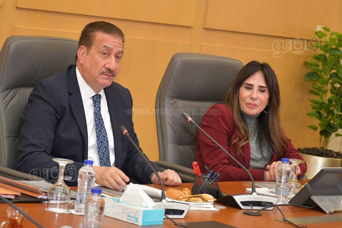 محافظ بورسعيد اللواء إبراهيم أبو ليمون، ڤيتو