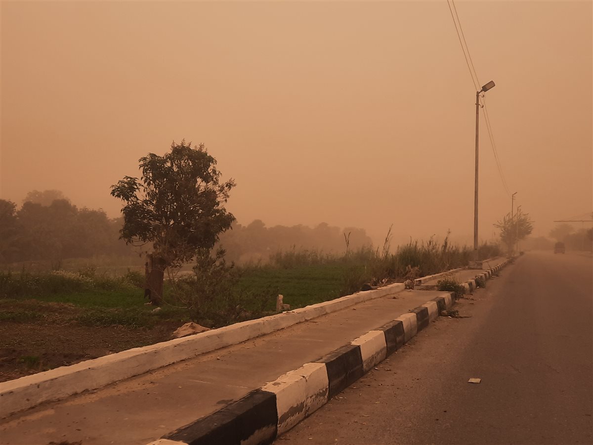 الإسماعيلية اليوم، فيتو