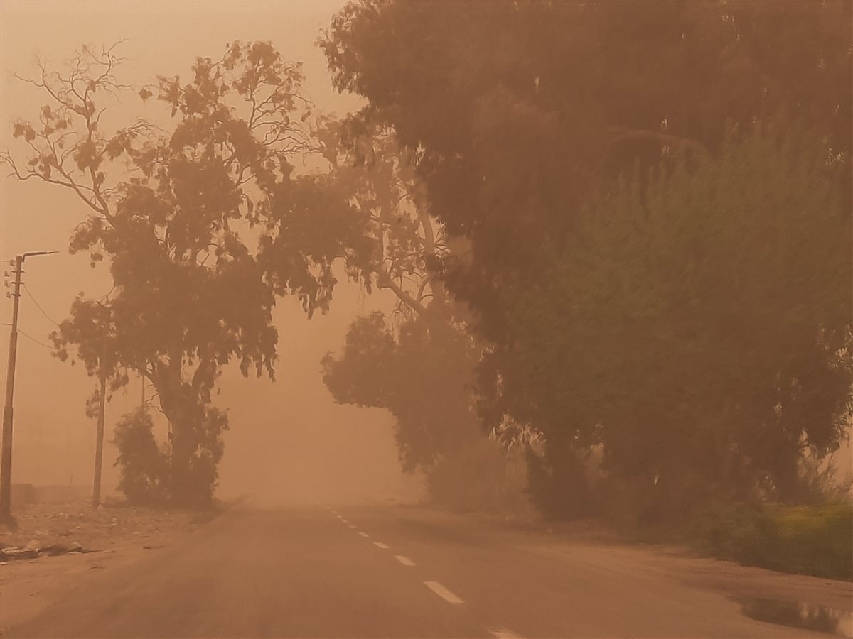 الإسماعيلية اليوم، فيتو