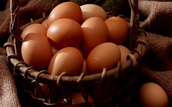 سعر كرتونة البيض اليوم السبت في بورصة الدواجن، فيتو