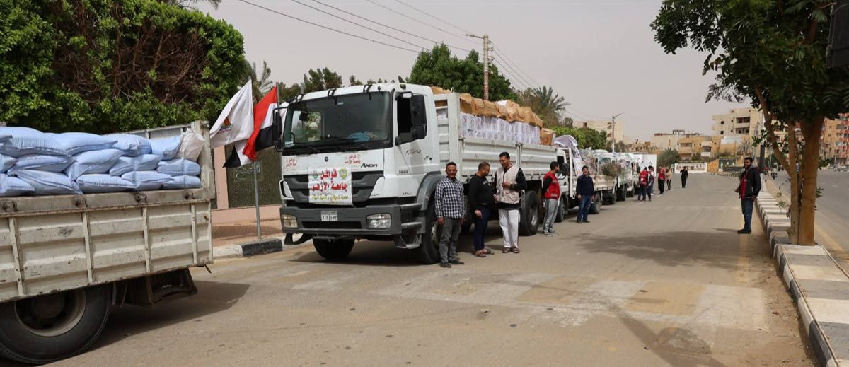 قافلة جامعة الأزهر بالوادي الجديد، فيتو