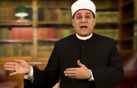 رد مظهر شاهين علي علاء مبارك، فيتو
