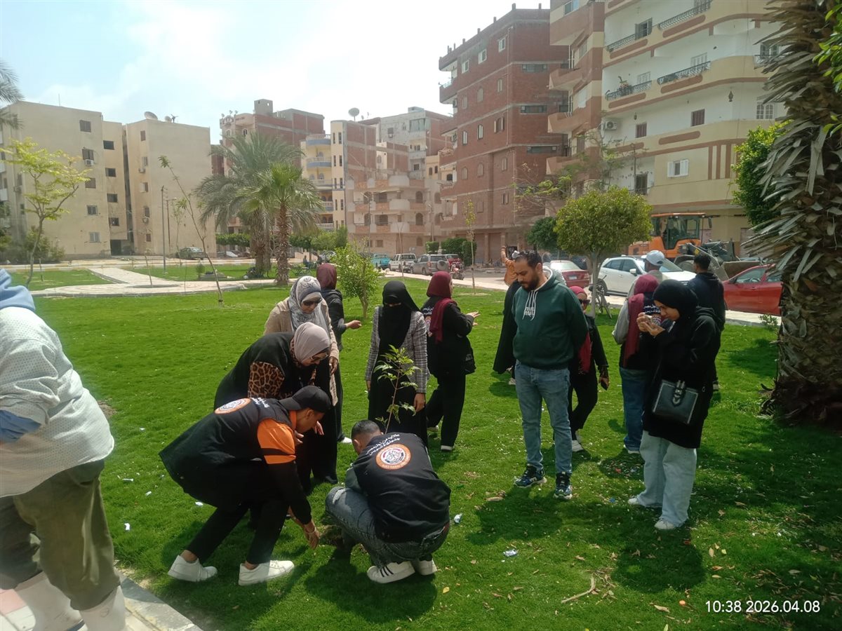 جانب من أعمال التشجير، فيتو