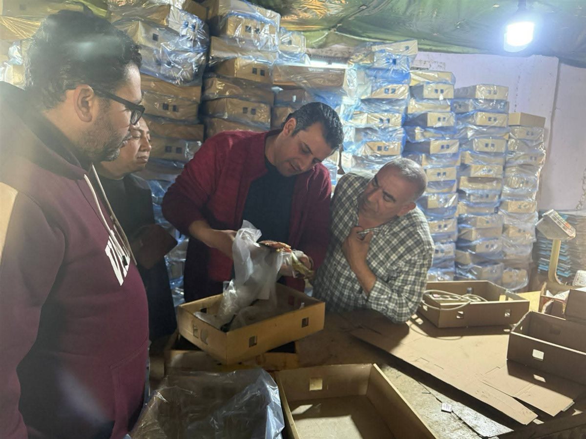 ضبط 4 طن من الرنجة الفاسدة قبل طرحها بالأسواق في الغربية
