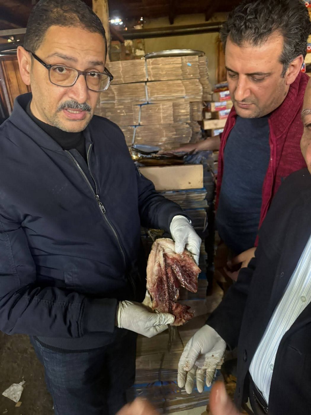 ضبط 4 طن من الرنجة الفاسدة قبل طرحها بالأسواق في الغربية