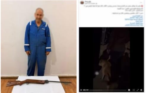 شخص يطارد الكلاب بسلاح نارى فى الإسماعيلية..وتحرك أمنى عاجل لضبطه&nbsp;<br alt=