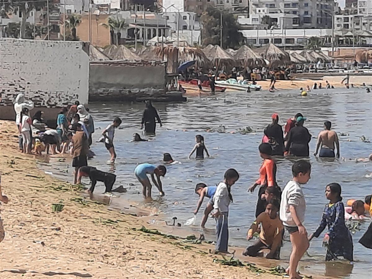 شواطئ الإسماعيلية اليوم، فيتو