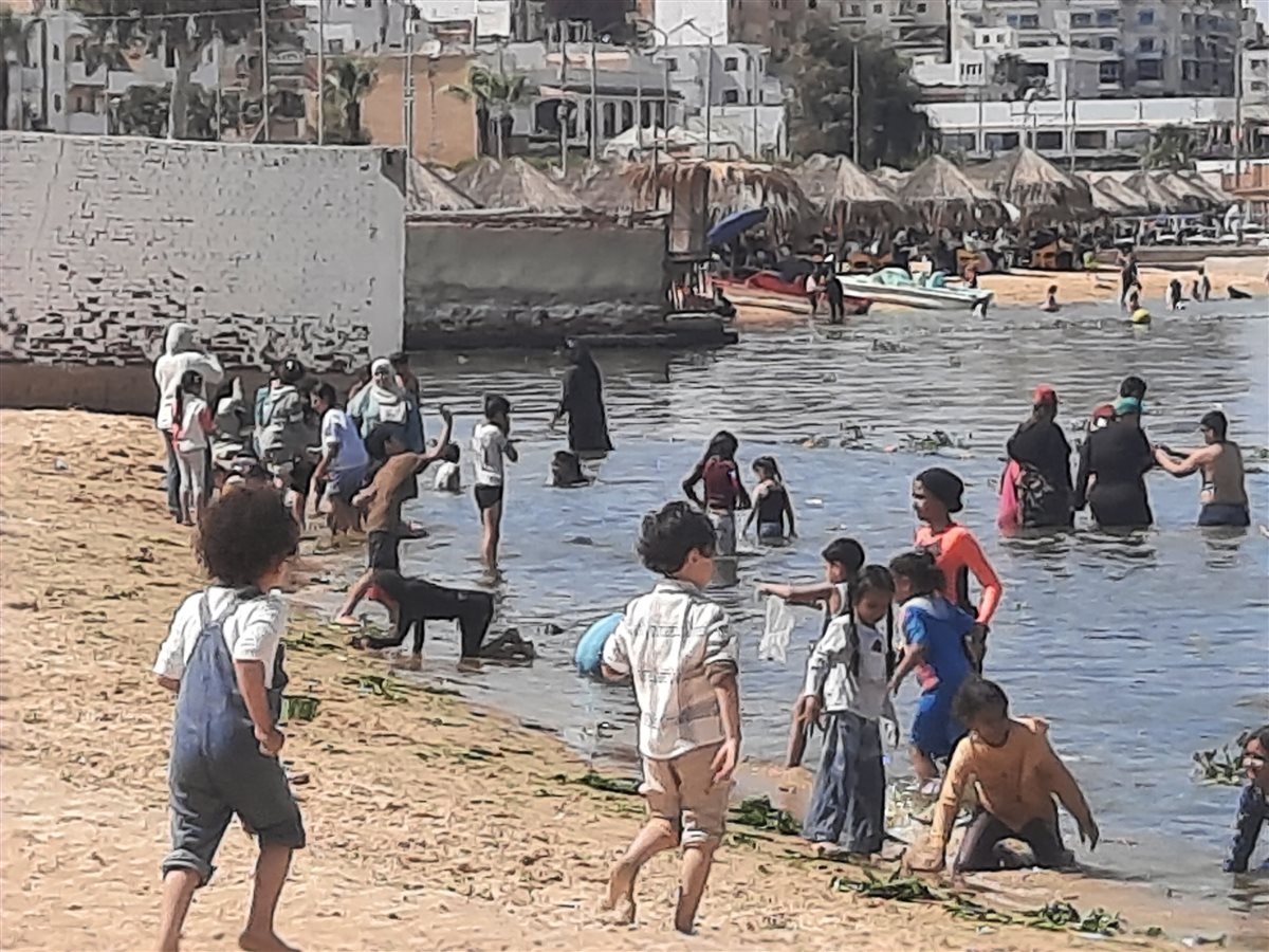 شواطئ الإسماعيلية اليوم، فيتو
