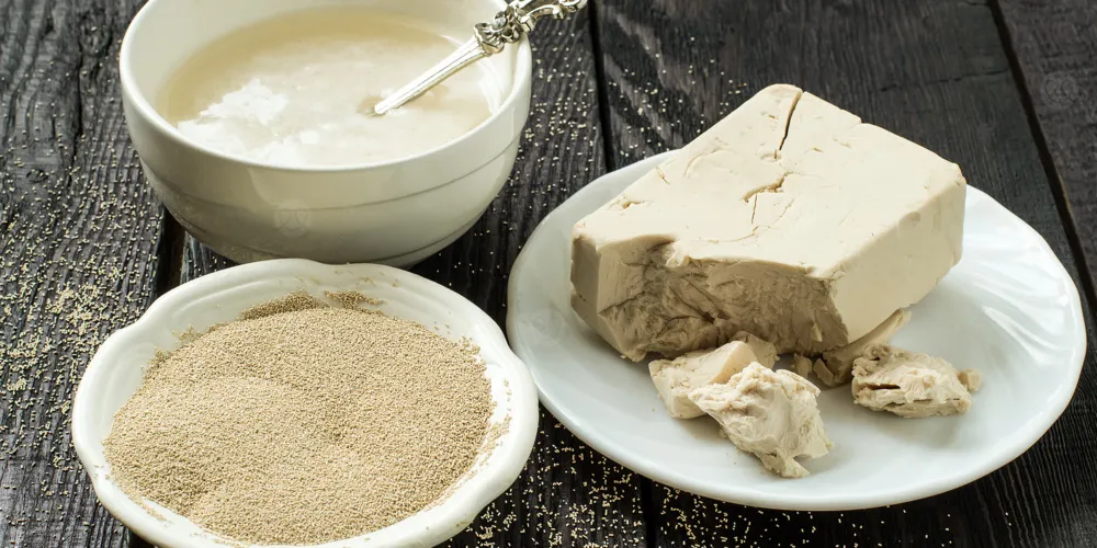 الفرق بين الخميرة البيرة والفورية والاقراص&nbsp;
