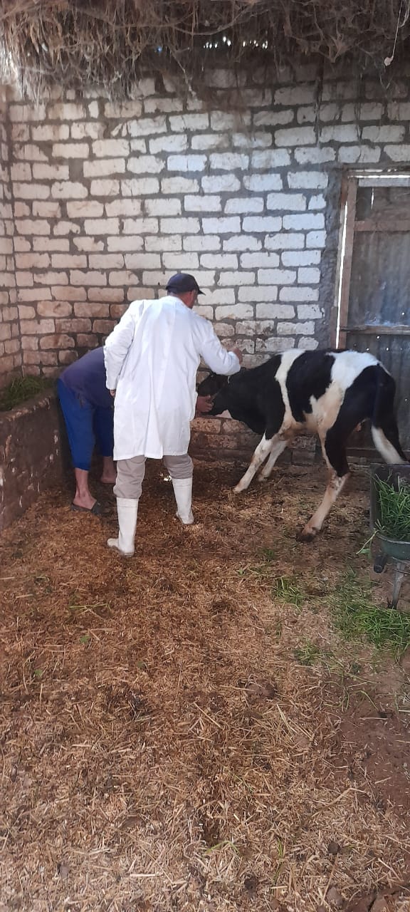 جانب من فاعليات حملة التحصين،فيتو