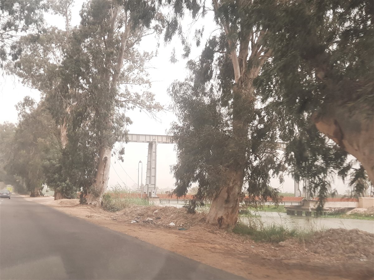الإسماعيلية اليوم، فيتو