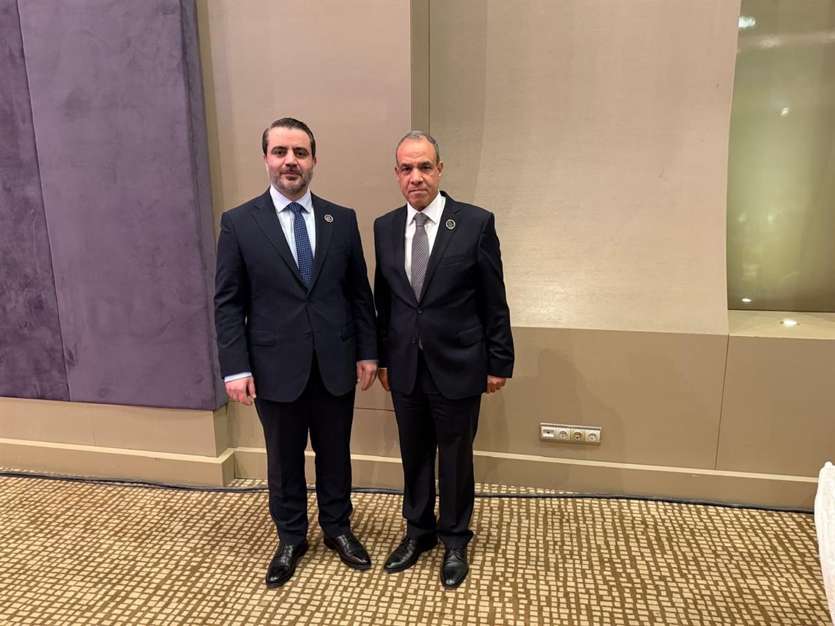 عبد العاطي ونظيره السوري، فيتو