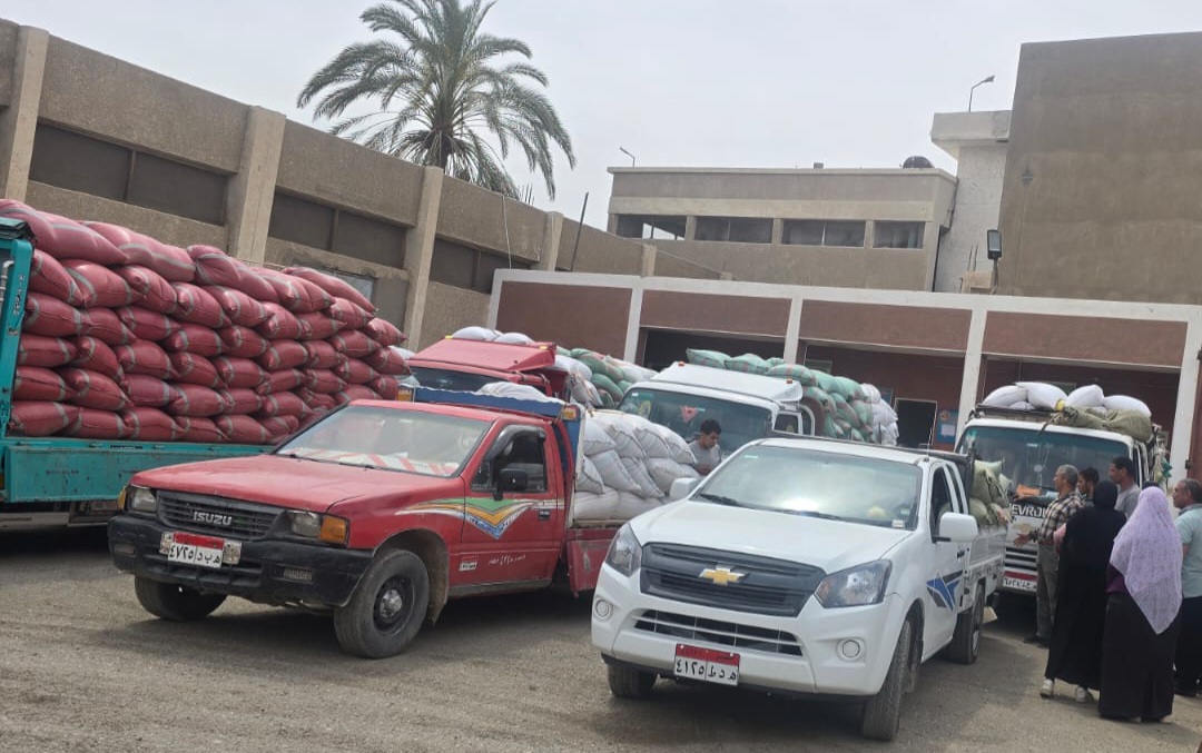 محافظ سوهاج، عن استلام 5801 طن و614 كيلوجرامًا من الأقماح المحلية، فيتو
