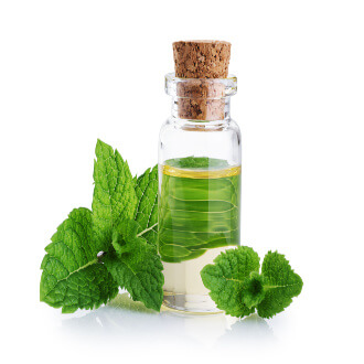 طرق استخدام زيت النعناع لتسليك الأنف وتهدئة البرد&nbsp;
