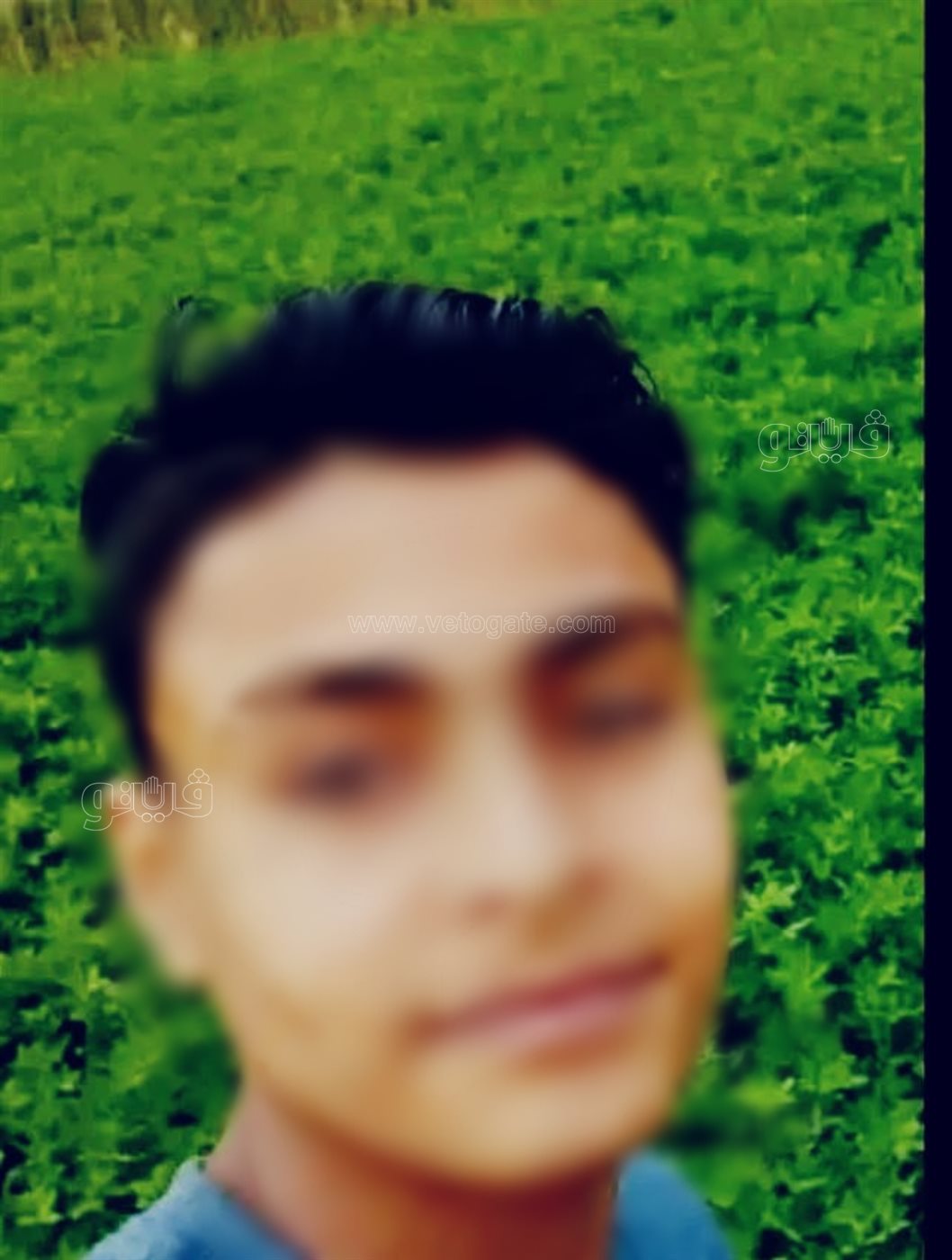 المجني عليه،فيتو