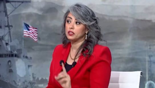 منى صفوان، فيتو