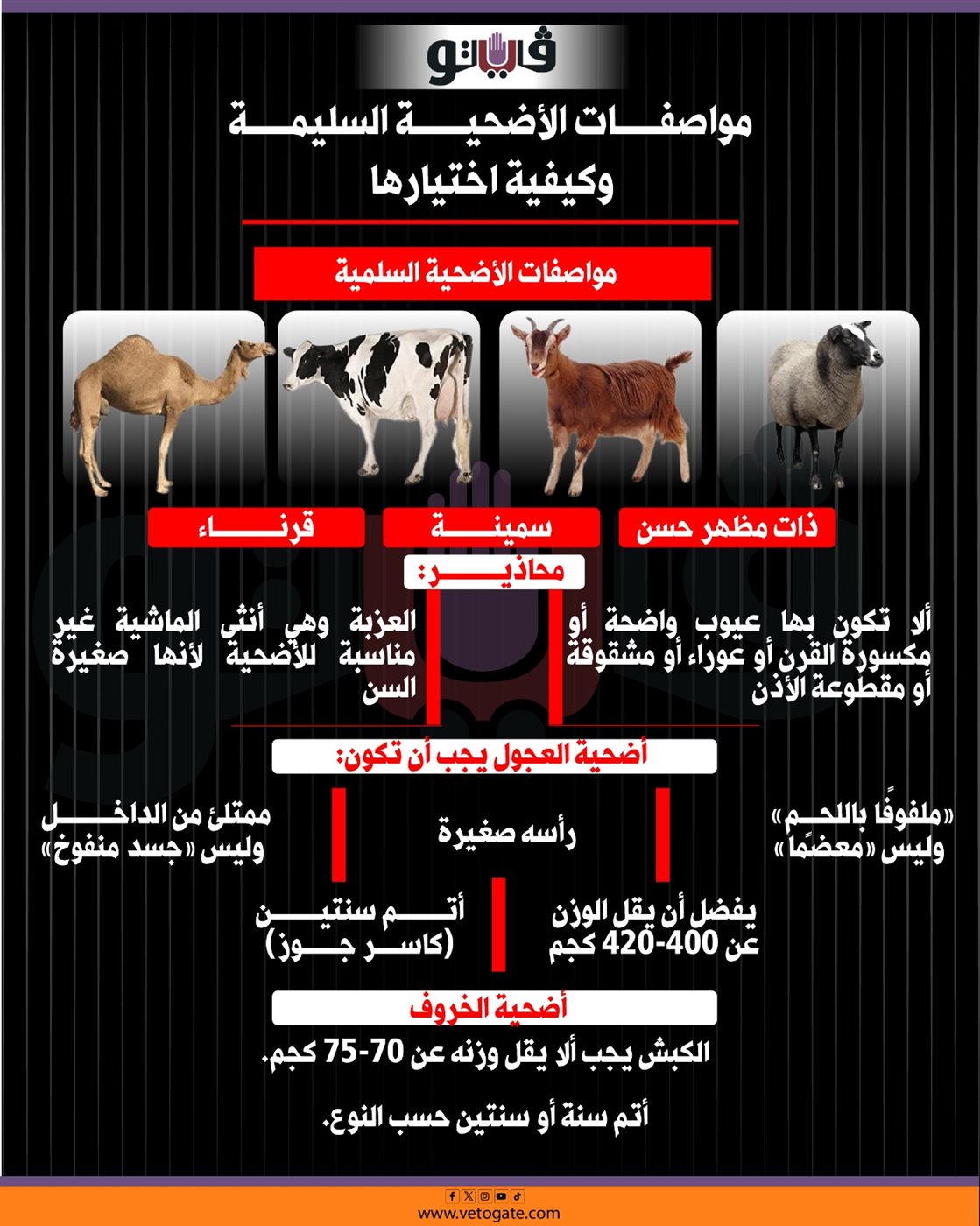 أحكام الأضحية، فيتو