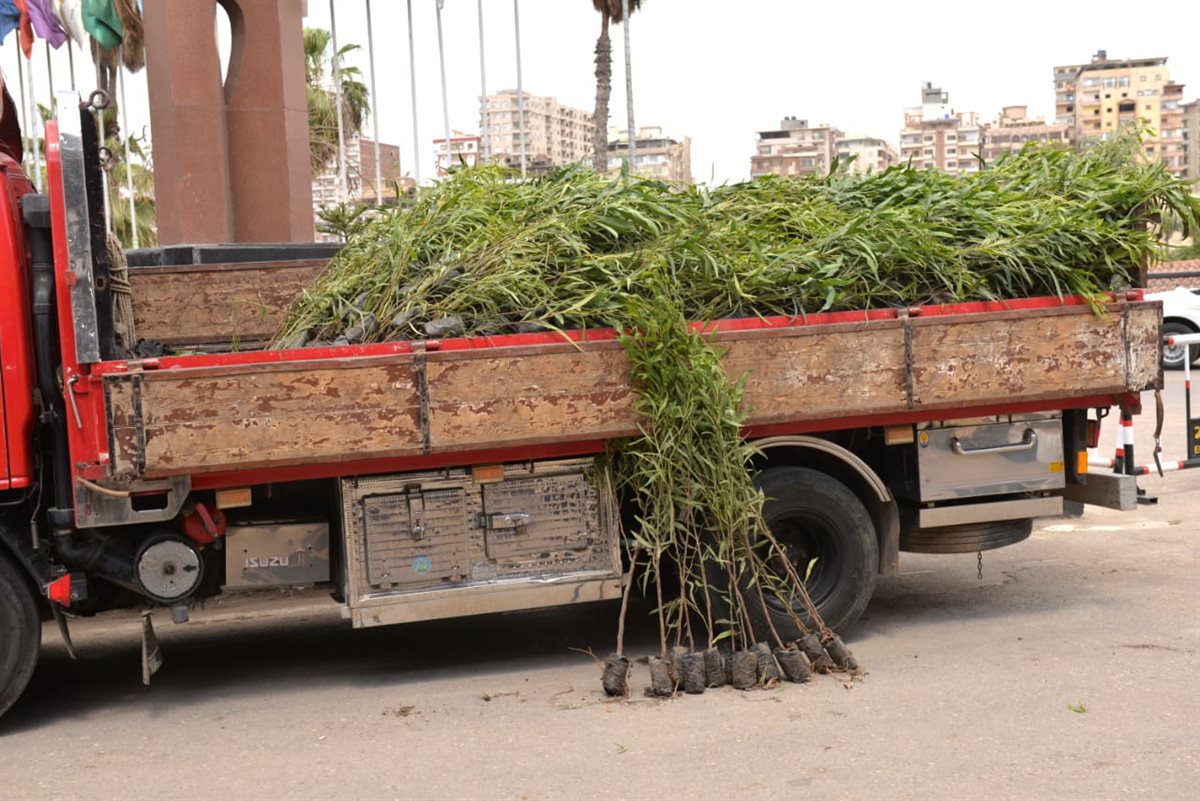 نائب محافظ الدقهلية يتابع استلام دفعة جديدة من مبادرة 