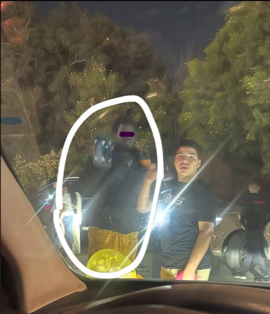 الداخلية تقبض على مجنون أرينا، فيتو