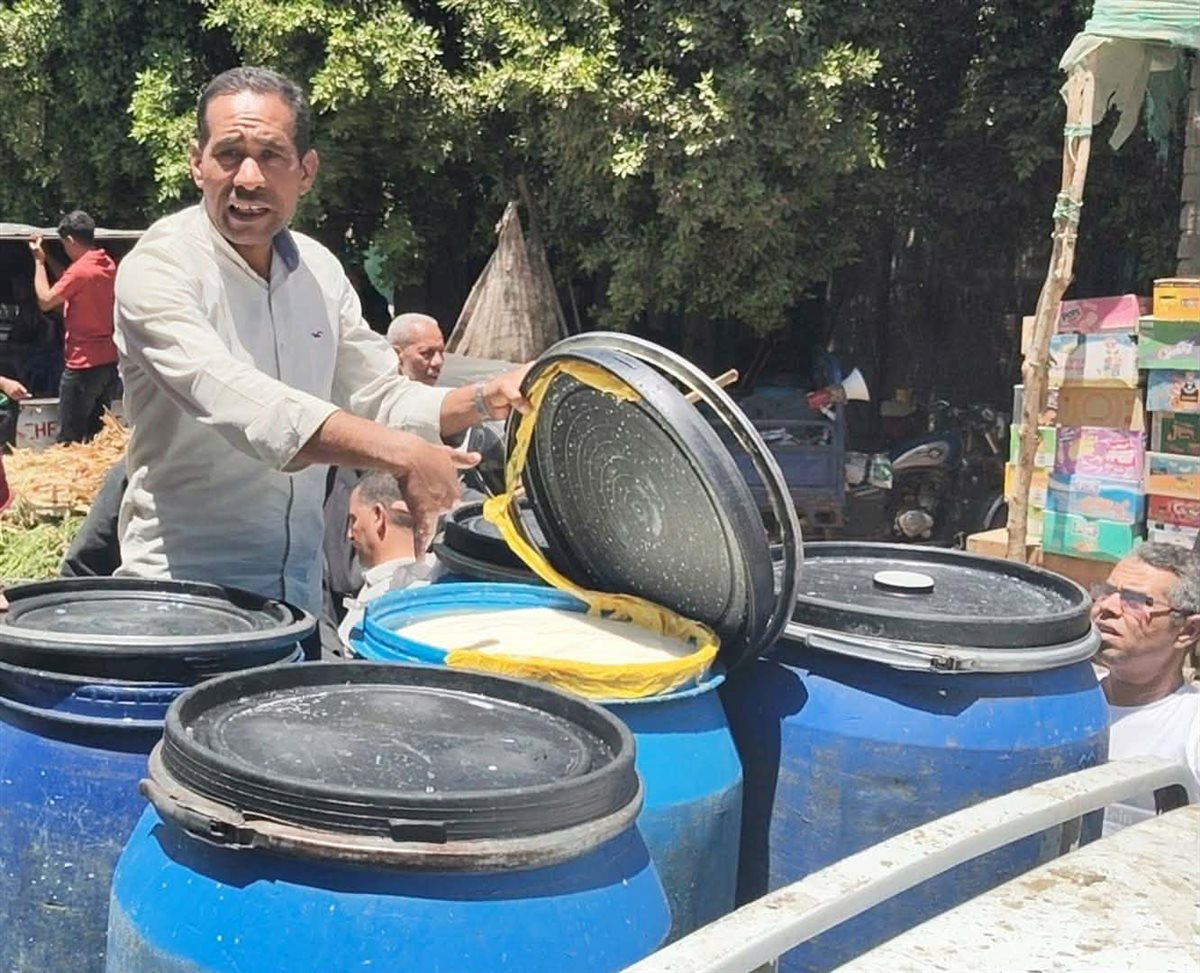 نص طن ألبان مضروبة، حملة المنيا تضبط 500 كيلو فاسد