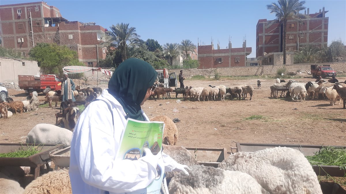 جانب من اللقاء، فيتو