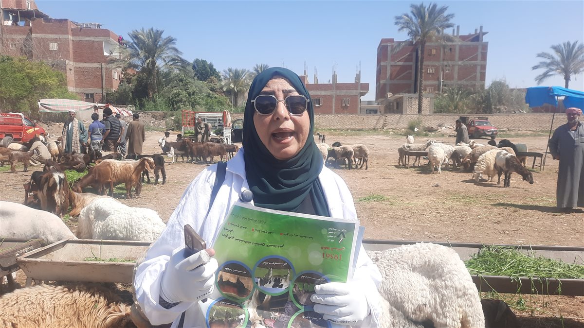 جانب من اللقاء، فيتو