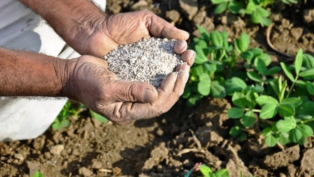 أسعار السماد اليوم، فيتو